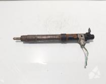 Injector, cod 9686191080, EMBR00101D, Ford Galaxy 2 2.0 TDCI, UFWA (id:718286)