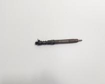 Injector, cod 9656389980, EJBR03801D, Citroen C5 (I) 2.0 HDI, RHR (id:719755)