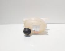 Vas expansiune, cod 217107259R, Renault Captur 1.5 DCI, K9K608 (id:720363)