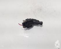Injector, cod 06A906031BA, Audi A4 (8E2, B6) 1.8 T- benz, BEX (id:721000)