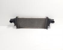 Radiator intercooler, Mercedes Clasa ML (W164) 3.0 CDI, OM642940 (id:721463)