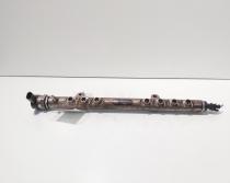 Rampa injectoare cu senzori, cod 0445215025, 30777759, Volvo XC70 ll, 2.4D, D5244T (idi:721142)