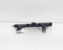 Rampa injectoare, cod 9655833580, Citroen C3 (II) (id:462084)