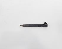 Injector Delphi, cod A6510702887, Mercedes Clasa E (W212) 2.2 CDI, OM651924 (id:732022)