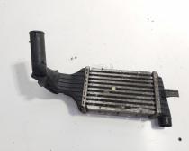 Radiator intercooler, cod GM09129519DX, Opel Signum, Y20DTH (idi:731404)