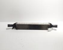 Radiator intercooler, Audi Q5 (8RB) 2.0 TDI, CAG (idi:716670)