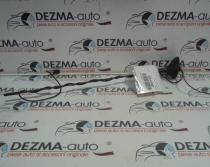 Antena radio, 8200331744, Renault Megane 2 (id:265429)