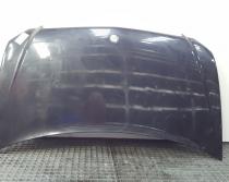 Capota fata, Mercedes Vito Autobus (W639)