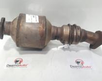 Catalizator, cod 8E0131701FM, 4F0178FA, Audi A6 (4F2, C6) 2.0 TDI, BRE (id:356789)