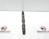 Injector, Audi A4 Avant (8E5, B6) 2.5 tdi, cod 059130201F