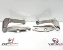 Set balamale capota fata, Ford C-Max 1