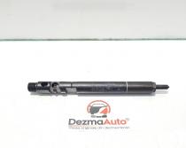 Injector, Mercedes Clasa E T-Model (S211), 2.2 cdi, OM646821, A6460700987