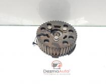 Fulie ax came, Audi A3 (8P1), 2.0 tdi, BMM, 038109239L