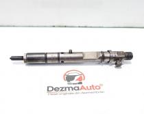 Injector, Audi A6 Allroad (4BH, C5) [Fabr 2000-2005] 2.5 tdi, AKE, cod 059130201D, 0432133805F (id:406552)