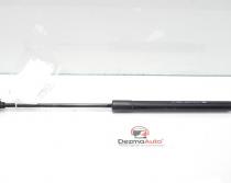 Telescop haion, Citroen C3 (II) [Fabr 2009-2016] 9683733980 (id:411651)