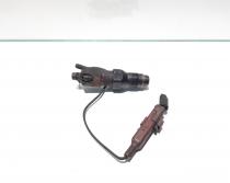 Injector cu fir, Peugeot Expert (I) [Fabr 1995-2006] 1.9 diesel, WJY, LDCR02601AA