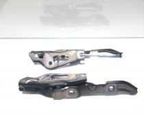 Set balamale capota spate, Bmw 3 (E90), cod 7060627-09, 7060628-09 (id:453163)