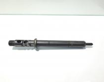 Injector, 9640945980 Citroen C3 (I) 1.4 HDI, DELPHI (id:453495)