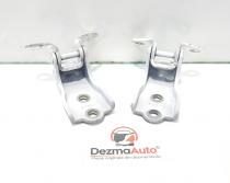 Set balamale dreapta fata, Chevrolet Captiva (C100)