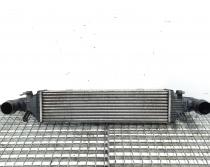 Radiator intercooler cod A2045000200 Mercedes Clasa E (W212) 2.2 cdi, OM651924 (id:458840)