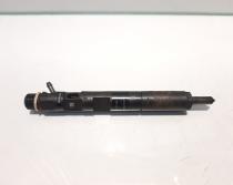 Injector, cod 8200365186, EJBR01801A, Renault Kangoo 1, 1.5 dci, K9K702 (id:458887)