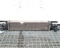 Radiator intercooler, cod 55702004, Fiat Grande Punto (199) 1.3D M-jet, 199A3000