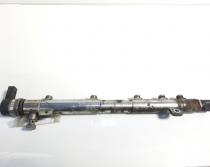 Rampa injectoare cu senzori, cod A6460701895, Mercedes Vito Autobus (W639) 2.2 cdi, OM646985 (id:422422)