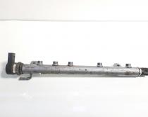 Rampa injectoare, cod A6400702395, Mercedes Clasa A (W169) 2.0 cdi (id:345281)