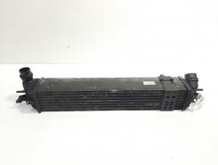 Radiator intercooler, cod 144960001R, Renault Laguna 3, 2.0 dci, M9R802 (id:468656)