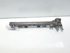 Rampa injectoare, cod 036133319AL, Vw Golf 4 (1J1) 1.6 Benz, BCB (id:499017)