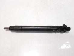 Injector, cod 9686191080, EMBR00101D, Ford Galaxy 2, 2.0 TDCI, UFWA (pr:110747)