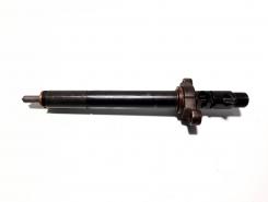 Injector, cod 9688438580, EJBR06001D, Citroen C5 (III) Break, 2.0 HDI, RHF (id:509292)