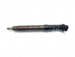 Injector, cod 9686191080, EMBR00101D, Ford Galaxy 2, 2.0 TDCI, UFWA (id:110747)