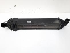 Radiator intercooler, cod 144960001R, Renault Laguna 3, 2.0 DCI, M9R802 (id:555081)