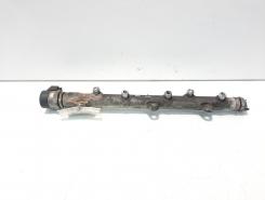 Rampa injector cu senzori, cod 7787164, Bmw 3 (E90) 2.0 diesel, 204D4 (id:557561)