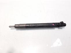 Injector, cod 9688438580, EJBR06001D, Citroen C5 (III) Break, 2.0 HDI, RHF (id:555216)