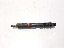 Injector Delphi, cod 166000897R, H8200827965, Renault Clio 3, 1.5 DCI, K9K770 (id:572754)