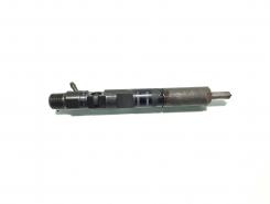 Injector Delphi, cod 166000897R, H8200827965, Renault Clio 3, 1.5 DCI, K9K770 (id:572944)