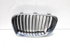 Grila bara fata centrala stanga sus, Bmw 1 (E81, E87) facelift (id:573952)