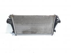 Radiator intercooler, cod GM13241751, Opel Insignia A Combi, 2.0 CDI, A20DTH (id:582091)