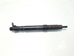 Injector, cod 9686191080, EMBR00101D, Ford Galaxy 2, 2.0 TDCI, UFWA (id:579494)