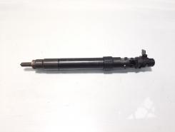 Injector, cod 9686191080, EMBR00101D, Ford Galaxy 2, 2.0 TDCI, UFWA (id:583305)