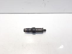 Injector, cod LCR6736001, Citroen Berlingo 1, 1.9 diesel, WJY (id:587631)