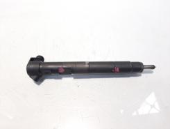 Injector Delphi, cod A6510704987, Mercedes CLS (C218), 2.2 CDI, OM651924 (idi:588688)