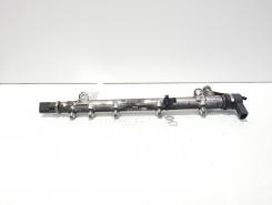 Rampa injectoare cu senzori, cod A6460700295, 0445214073, Mercedes Clasa E T-Model (S211) 2.2 CDI, OM646961 (idi:594946)