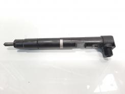 Injector Dephi, cod A6510704987, Mercedes Clasa E (W212) 2.2 CDI, OM651924 (id:597855)