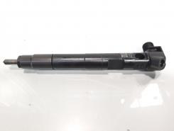 Injector Delphi, cod A6510704987, Mercedes Clasa E (W212) 2.2 CDI, OM651924 (id:597857)