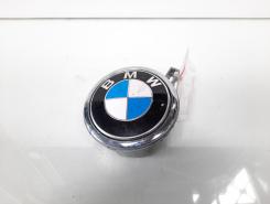 Maner deschidere haion, Bmw 1 (E81, E87) (pr:110747)