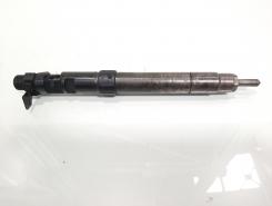 Injector, cod 9686191080, Ford Galaxy 2, 2.0 TDCI, QXWC (idi:603370)