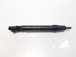 Injector, cod 9686191080, EMBR00101D, Ford Galaxy 2, 2.0 TDCI, UFWA (id:609623)